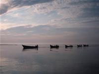 Fotografii Delta Dunarii, foto Delta Dunarii, pictures Danube Delta